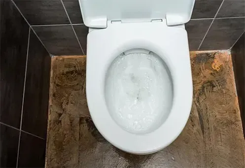 Desentupidora de Vaso Sanitário Urgente em Bragança Paulista